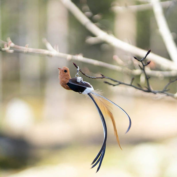 Vervangende Vogels (voor Interactieve Kat Speelset)